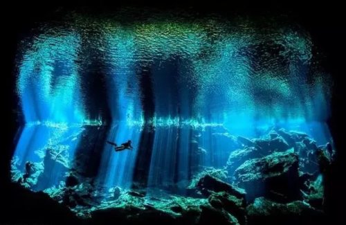 海洋館蛋白分離器