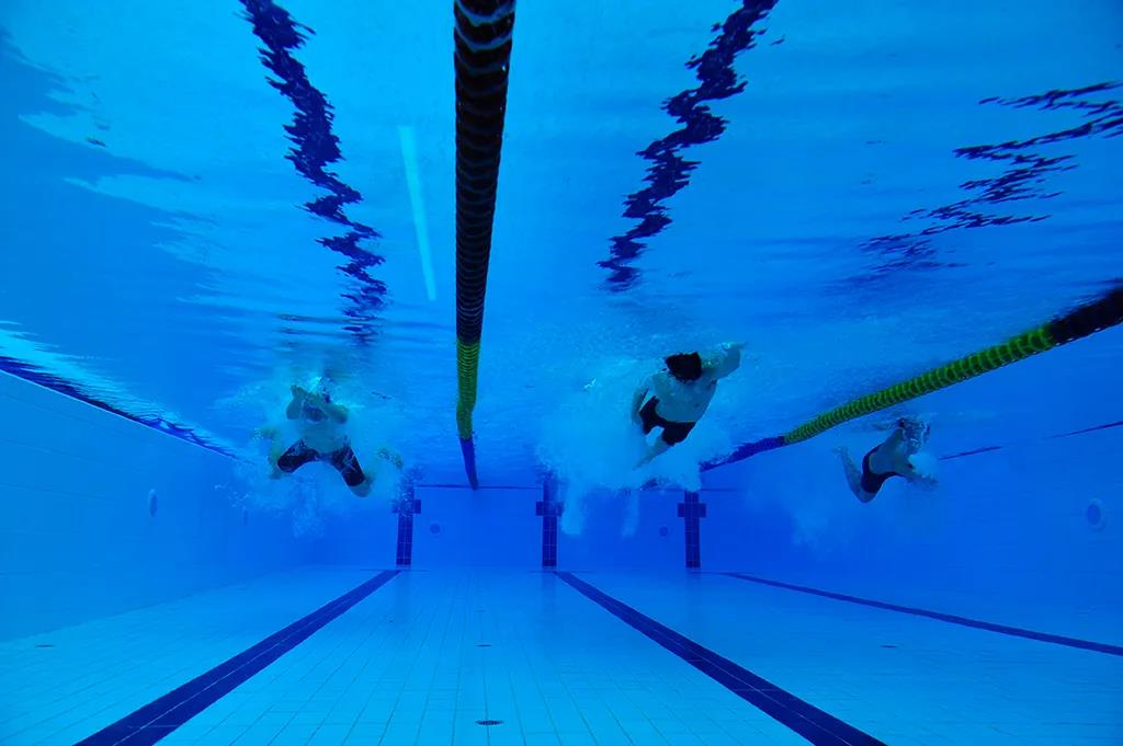 賀31周年|合作共贏新平臺(tái)，凝心聚力再出發(fā)